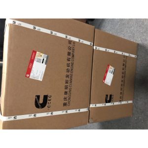 KTA19 QSK19 NT855 Marine engine parts Diesel Boat Engine Sea Water Pump 4999542 4915348 3655857 3010328 for Cummins