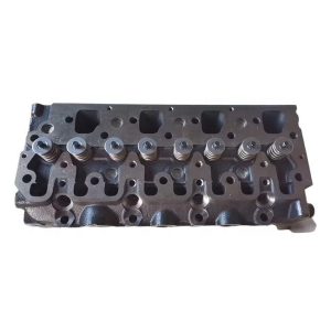 Cylinder Head with Valves 111017930 111017870 for Perkins 404C-22 104-22 Shibaura N844 N844L Engine