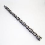 3023177 Engine Camshaft for Cummins NT855 Engine