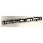 Camshaft 4022816 for Cummins Engine M11