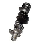 2831067 Crankshaft for CASE Engine F4BE0484F D600 F4BE0484C D601 Excavator WX125 WX95