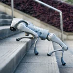 Unitree Artificial Intelligence Accompanying Bionic Intelligent Robot Dog