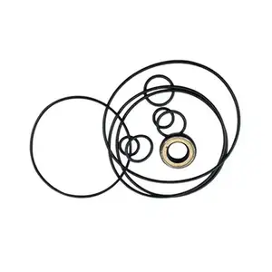 Swing Motor Seal Kit